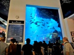 Океанариум, находящийся в торговом центре «Дубай Молл» внесен в книгу рекордов Гиннесса как самый большой в мире крытый аквариум. Гигантская емкость вмещает 10 миллионов литров воды, в которой плещутся больше 30 тысяч морских обитателей